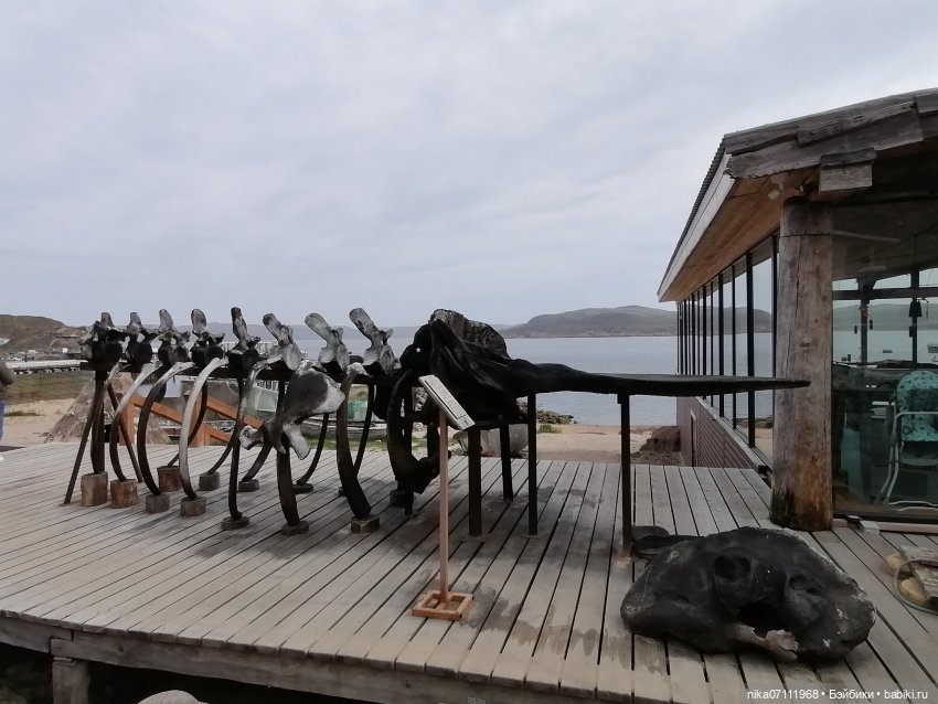 Териберка. Край света💥🔥 — Туризм и путешествия: фотоотчеты из поездок (фото 9)