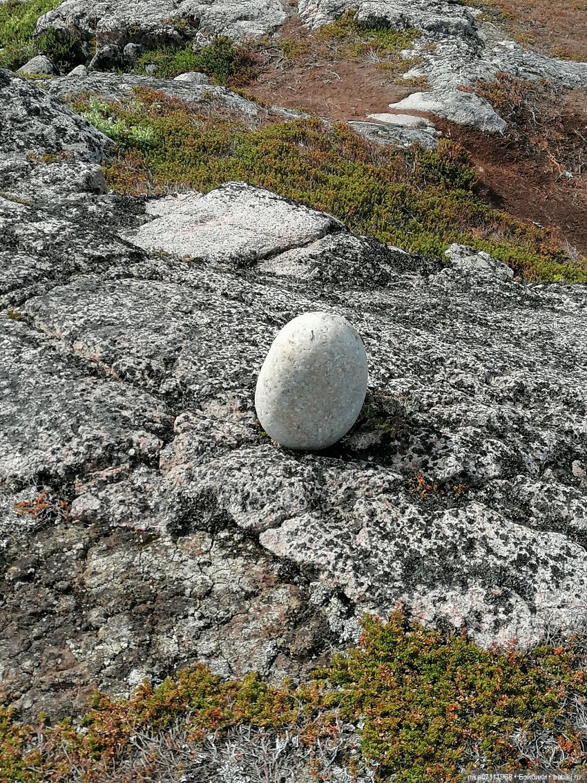 Териберка. Край света💥🔥 — Туризм и путешествия: фотоотчеты из поездок