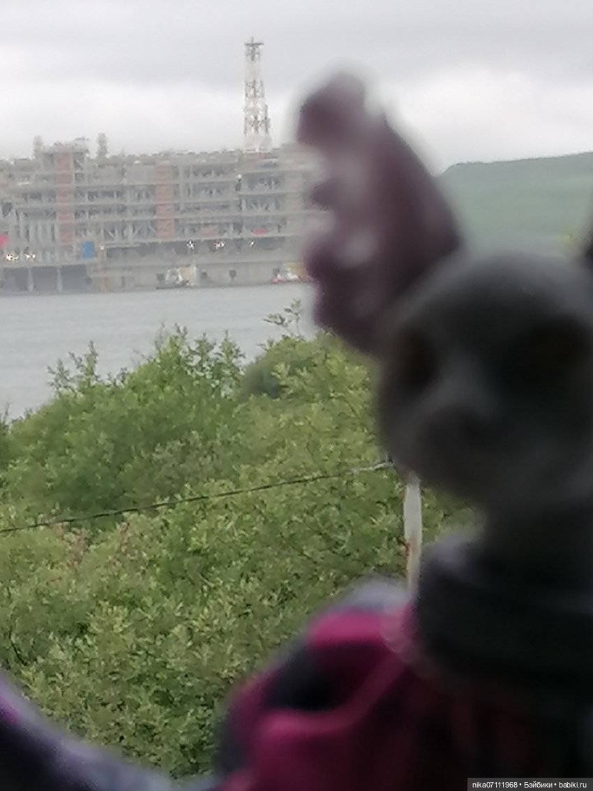 ЗнАковое событие вчера — Интересное и необычное: фотоподборки