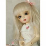 Вопрос о momocolor. Кто-нибудь пробовал пересадить их на другое тело?