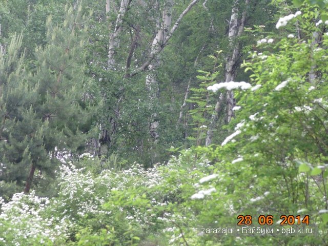 А мы вспоминаем лето — Куклы Fairyland (ФэйриЛэнд): BJD (БЖД) (фото 5)