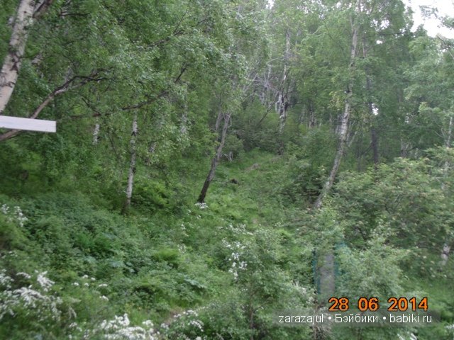 А мы вспоминаем лето — Куклы Fairyland (ФэйриЛэнд): BJD (БЖД) (фото 4)