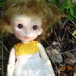 а мы вспоминаем лето!