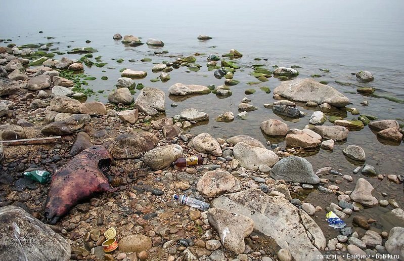 Я ненормальная! Или это не должно быть нормой (фото 8)