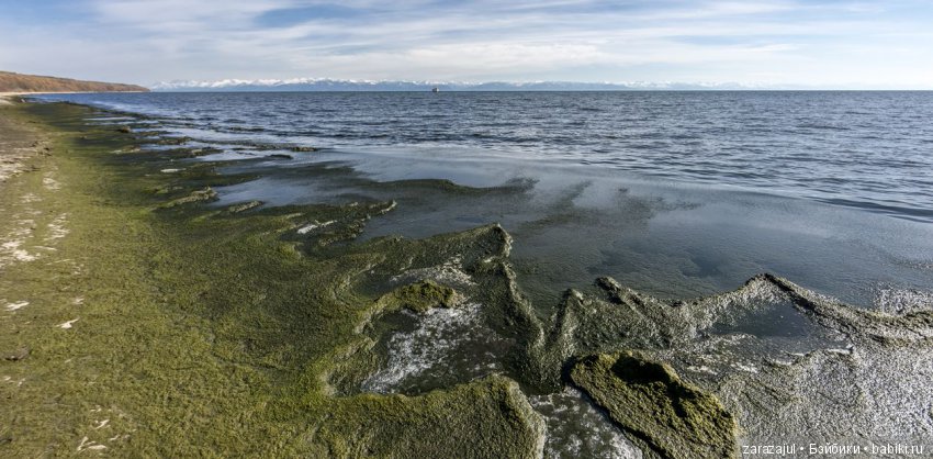 Я ненормальная! Или это не должно быть нормой (фото 5)