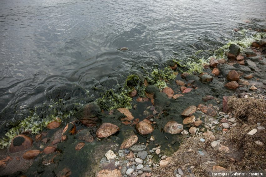 Я ненормальная! Или это не должно быть нормой (фото 6)