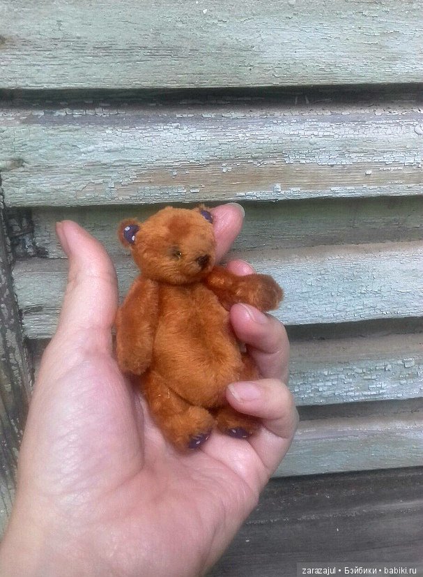 Айка - жизнь на даче или как мы успели погулять между дождями