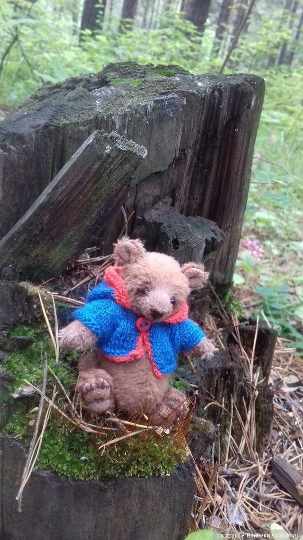 Айка - жизнь на даче или как мы успели погулять между дождями (фото 10)