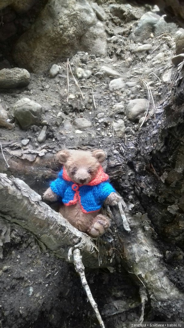 Айка - жизнь на даче или как мы успели погулять между дождями (фото 4)