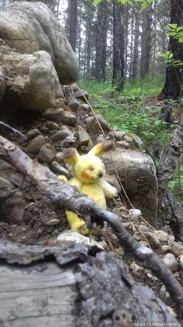 Айка - жизнь на даче или как мы успели погулять между дождями (фото 9)