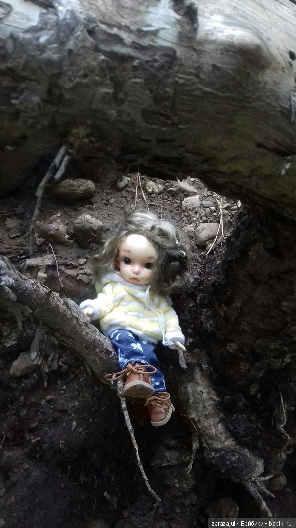 Айка - жизнь на даче или как мы успели погулять между дождями (фото 8)