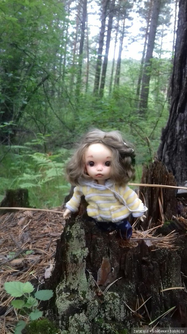 Айка - жизнь на даче или как мы успели погулять между дождями