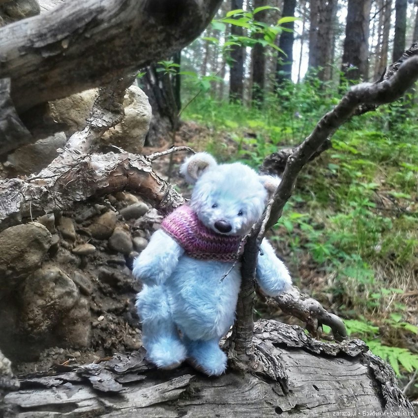 Айка - жизнь на даче или как мы успели погулять между дождями