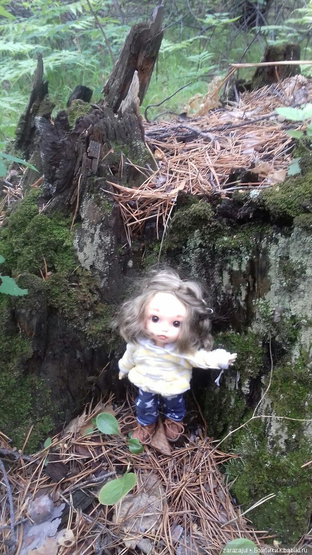 Айка - жизнь на даче или как мы успели погулять между дождями (фото 5)