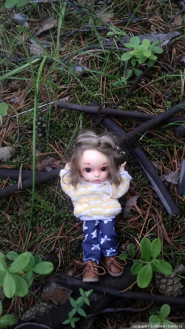 Айка - жизнь на даче или как мы успели погулять между дождями (фото 2)