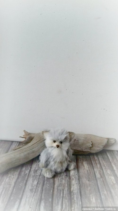 Маленький пушистик - северная лисичка тедди (фото 2)