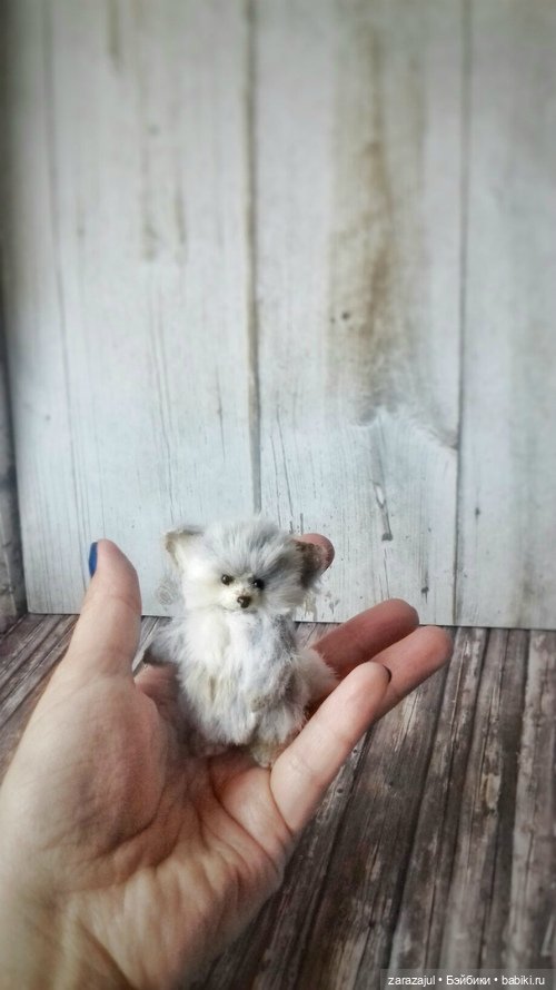 Маленький пушистик - северная лисичка тедди