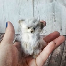 Маленький пушистик - северная лисичка тедди