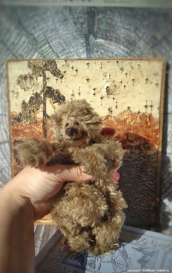 Мишка на конкурс - некоторые рабочие фотографии (фото 3)