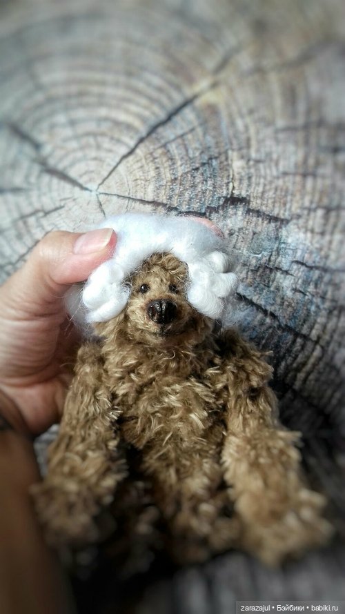 Мишка на конкурс - некоторые рабочие фотографии (фото 2)