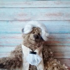 Мишка на конкурс - некоторые рабочие фотографии