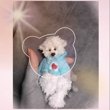 Невероятно добрый малыш