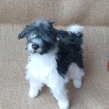 Спасибо удивительному заказу