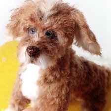 Рыжик - новый пес в питомнике