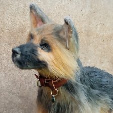 Новый защитник и друг