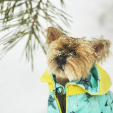 А мы сходили погулять