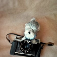 Маленький Лорд