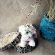 Пуся хочет платье