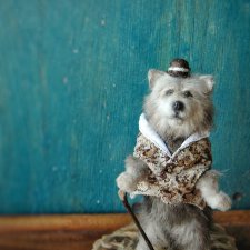 Мистер Серый Волк