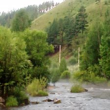 Недалеко от нашего дома или на разведку за красотой