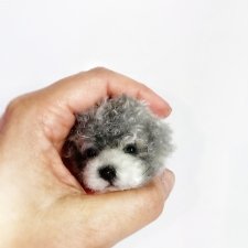 Кто-то новенький. Процесс