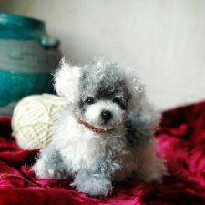 Затонировала и вот они мы