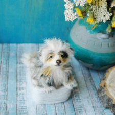 Чудо лохматое