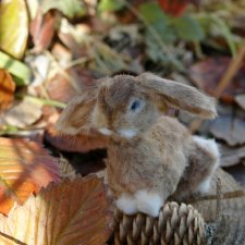 Маленький зайчик. Осенняя встреча