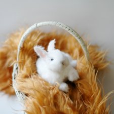 Ещё один кролик