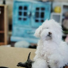 Новый процесс и вопрос.