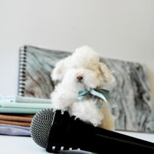 Пушистый артист