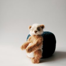 Новый малыш