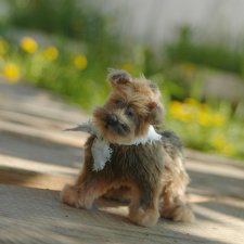 Доделала песика! Как назовём?