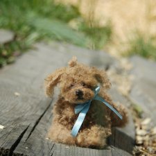 Новый кудрявый малыш