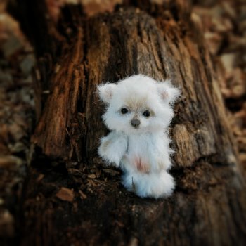 Пушок или Снежок? Новая выкройка и новый малыш Давайте придумаем имя