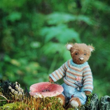 Мишка Оделись и пошли гулять Пойдём с нами?