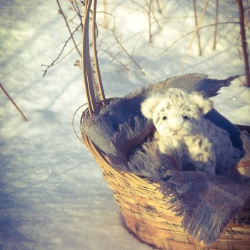 Малыш барс. Сибирское утро