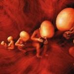 Стратегические дефекты у кукол или что меня ужасает.