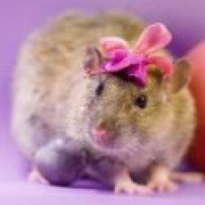 Крошка-бантик, быстро и легко, МК