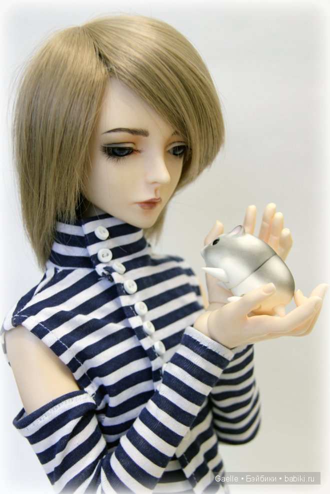 Новый питомец sakura&paper